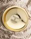 Hourglass Veil Translucent Setting Powder 10.5g Пудра для обличчя 2070362608 фото 4