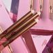 Набор карандашей для губ Charlotte Tilbury Mini Iconic Lip Cheat Lip Liner Trio 3024717245 фото 2
