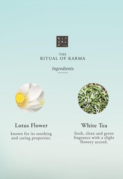 Подарочный набор Rituals Karma Try me Set 2254212642 фото