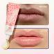 Бальзам для губ Lanolips Raspberry Shortcake Lip Treatment 10g 2952664872 фото 4